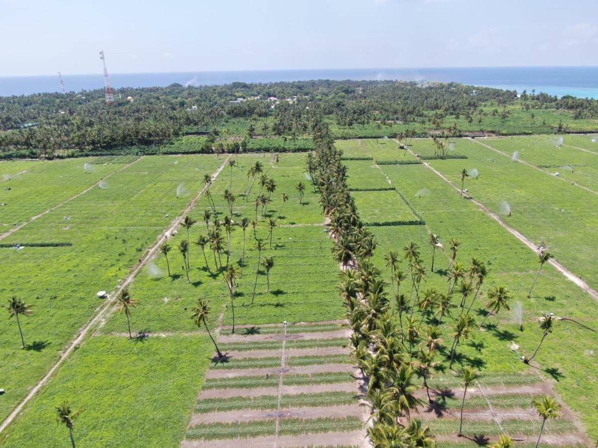 Hotel Thila Farm View Thoddoo Exterior foto